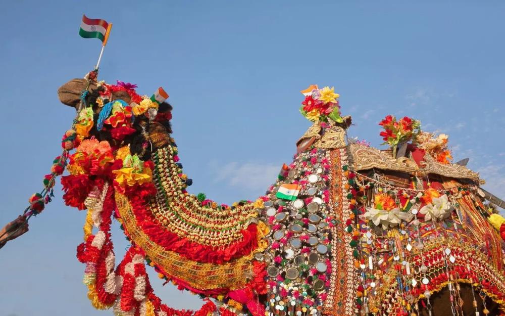 Pushkar Mela : the Camel Fair in Rajasthan 